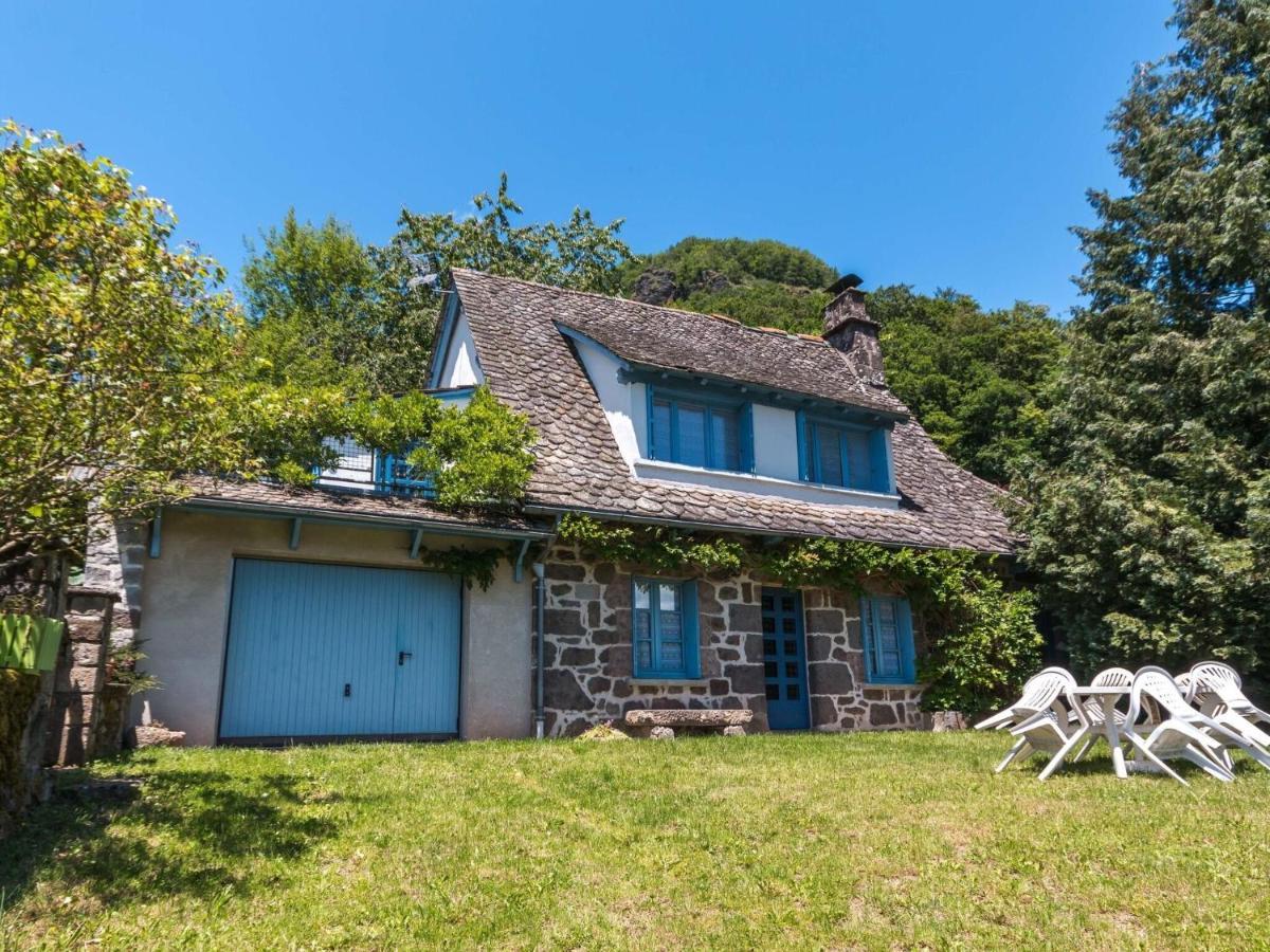 Beautiful Villa In The Parc Des Volcans D Auvergne Vic-sur-Cère Eksteriør billede