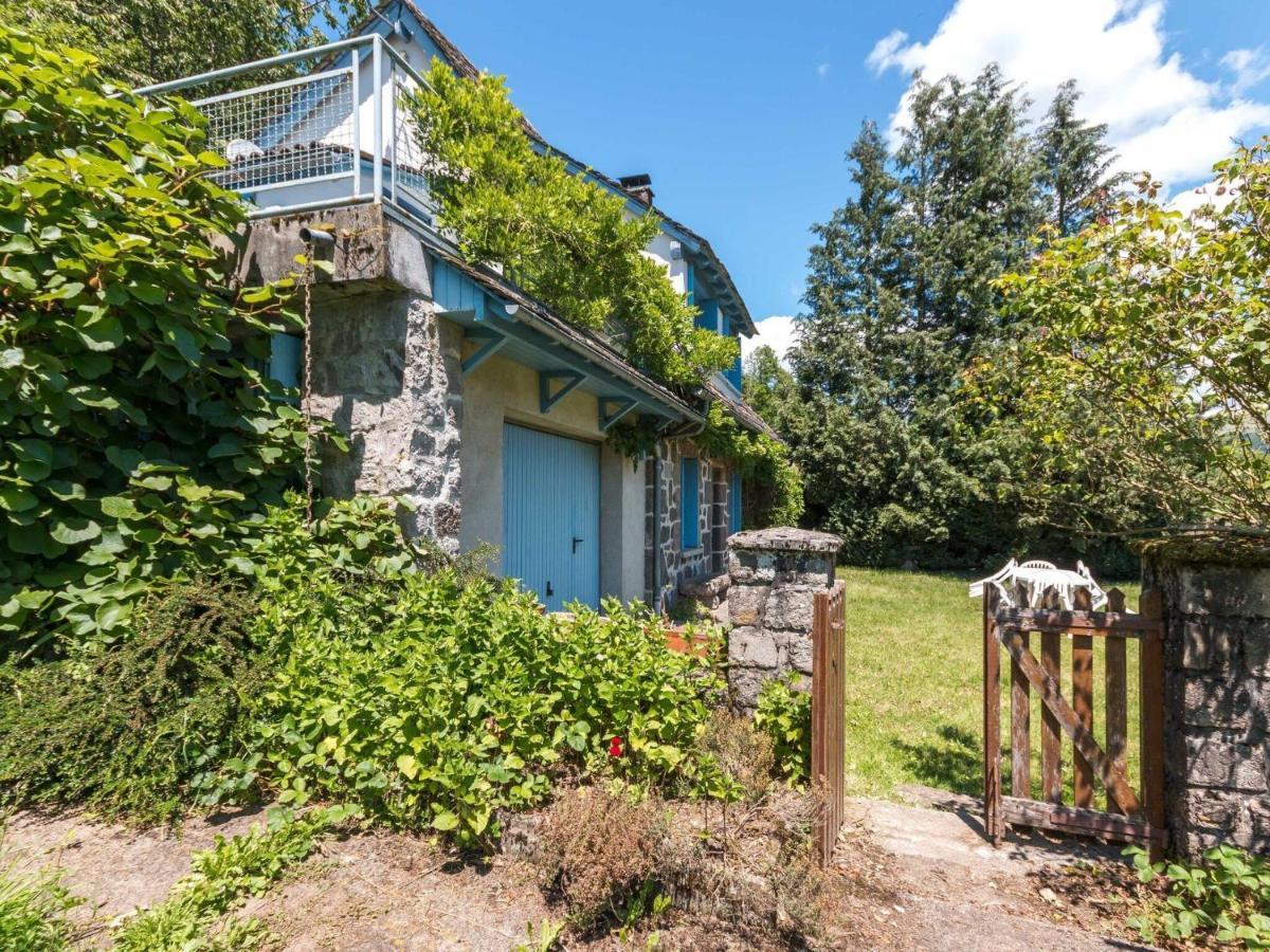 Beautiful Villa In The Parc Des Volcans D Auvergne Vic-sur-Cère Eksteriør billede