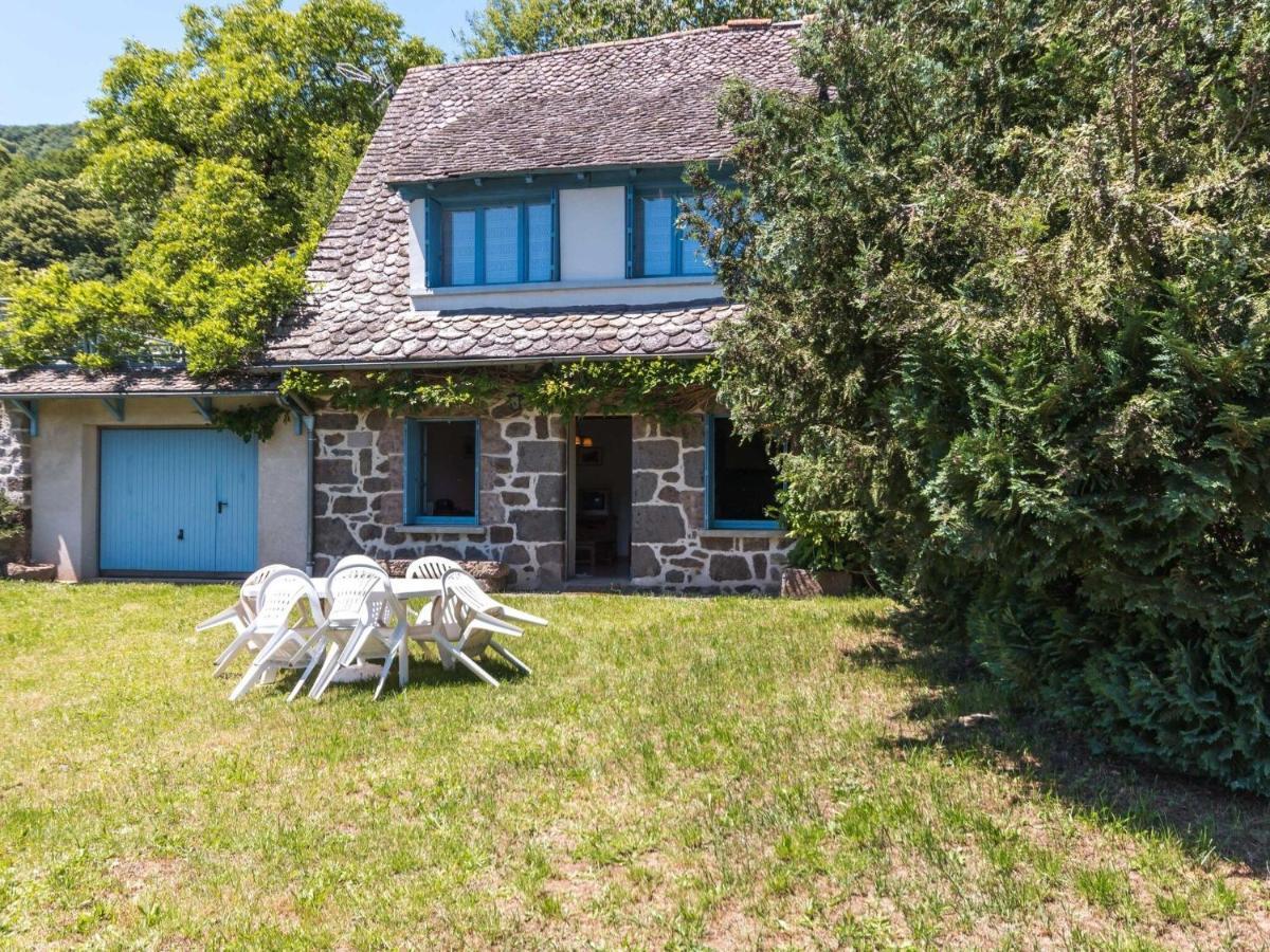 Beautiful Villa In The Parc Des Volcans D Auvergne Vic-sur-Cère Eksteriør billede
