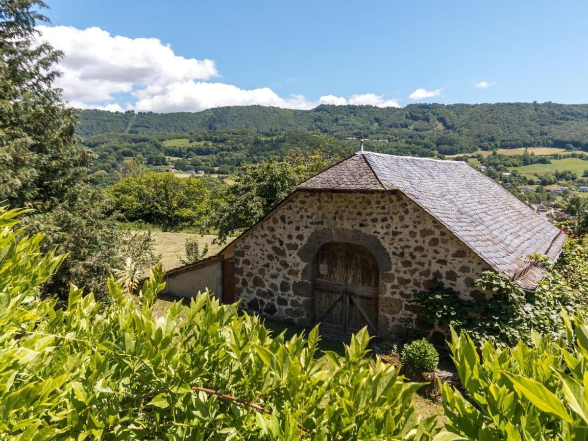 Beautiful Villa In The Parc Des Volcans D Auvergne Vic-sur-Cère Eksteriør billede