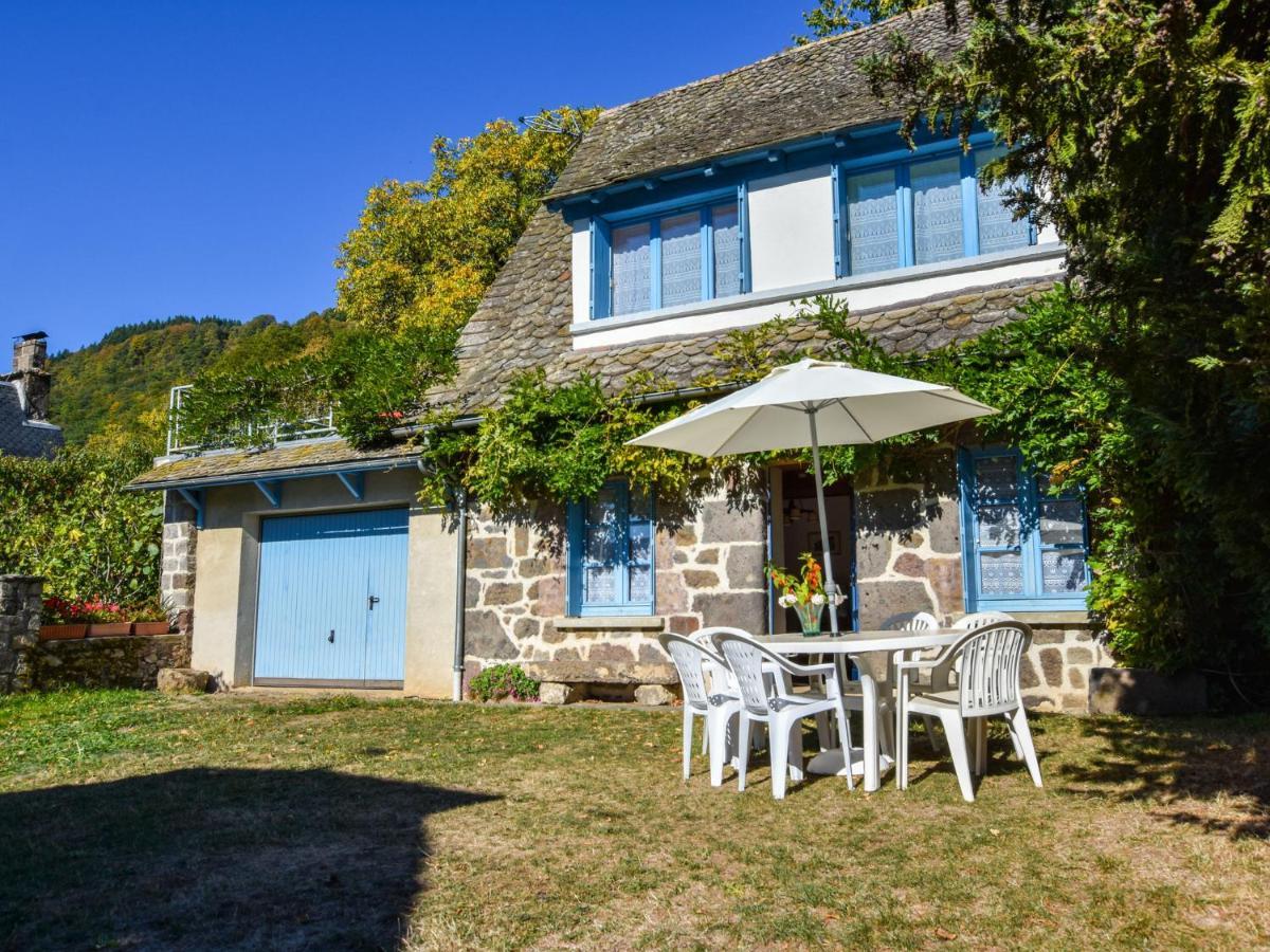 Beautiful Villa In The Parc Des Volcans D Auvergne Vic-sur-Cère Eksteriør billede