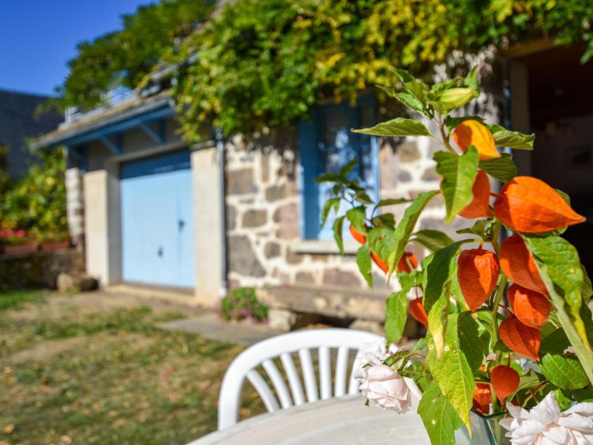 Beautiful Villa In The Parc Des Volcans D Auvergne Vic-sur-Cère Eksteriør billede